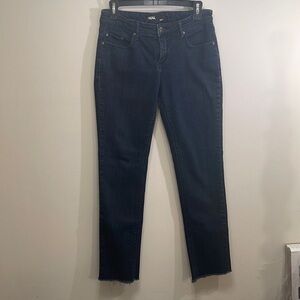 Urban Outfitters BDG Skinny Jean. Unfinished Hem. Size 29.
